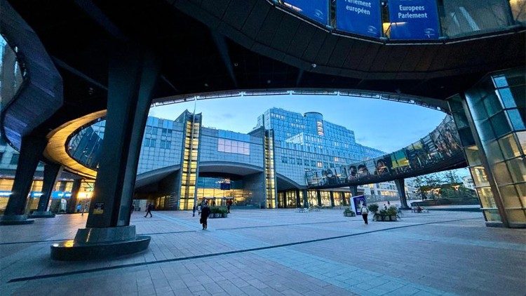 A Bruxelles il convegno su volontari e servizio civile in Europa, lo scorso 24 ottobre (C) Marcelo Pardo