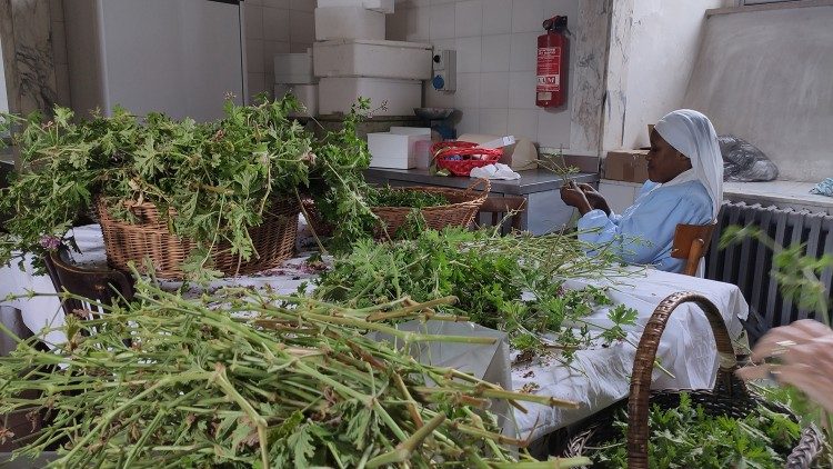 The Benedictine Monastery of Santa Maria in Trastevere. Photo by Anna Poce