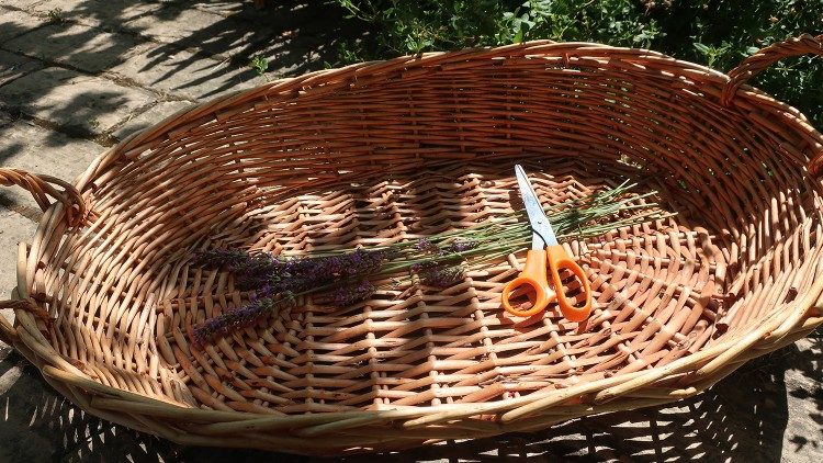 The Benedictine Monastery of Santa Maria in Trastevere. Photo by Anna Poce