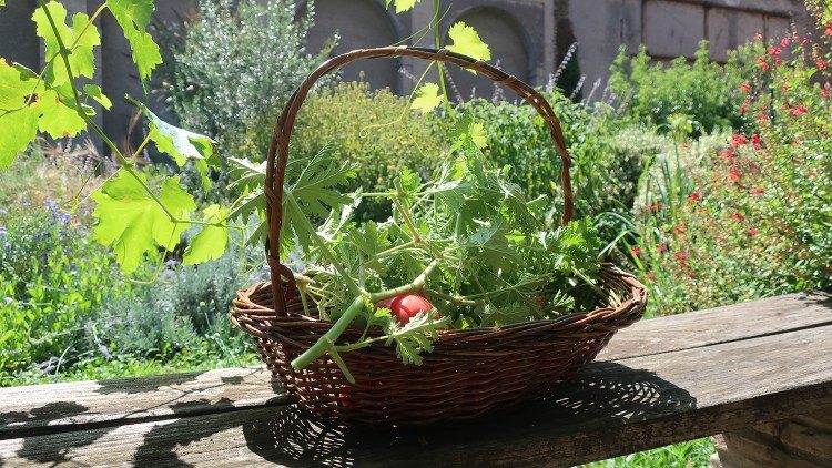 The Benedictine Monastery of Santa Maria in Trastevere. Photo by Anna Poce